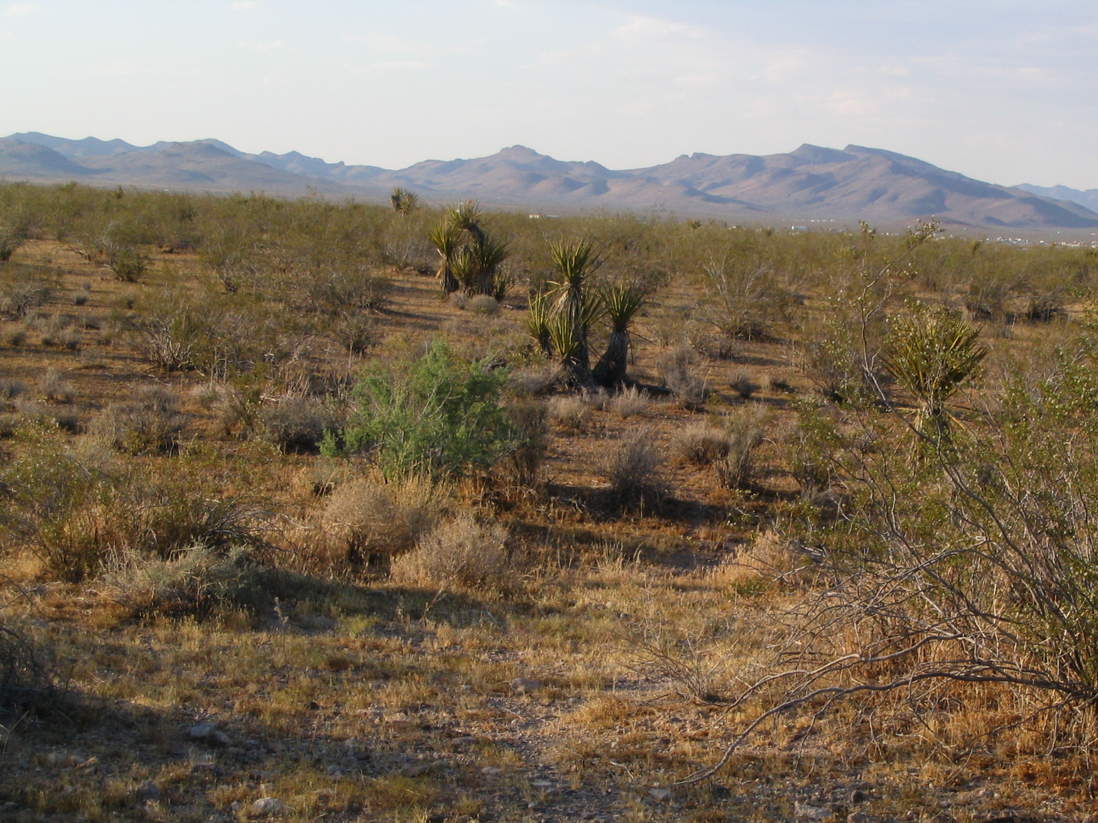 Golden Valley mountain scenery, not views from the Garnet property